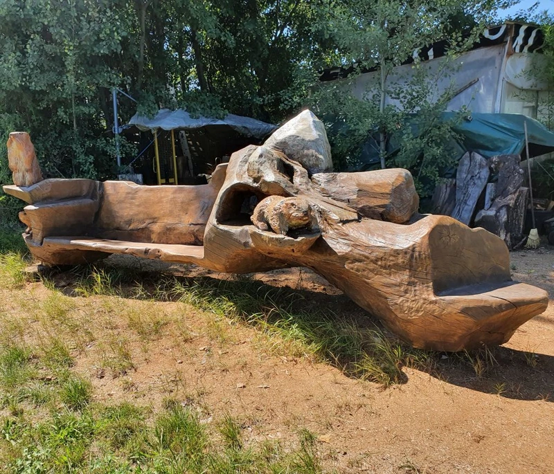 Banc montagneux avec marmottes