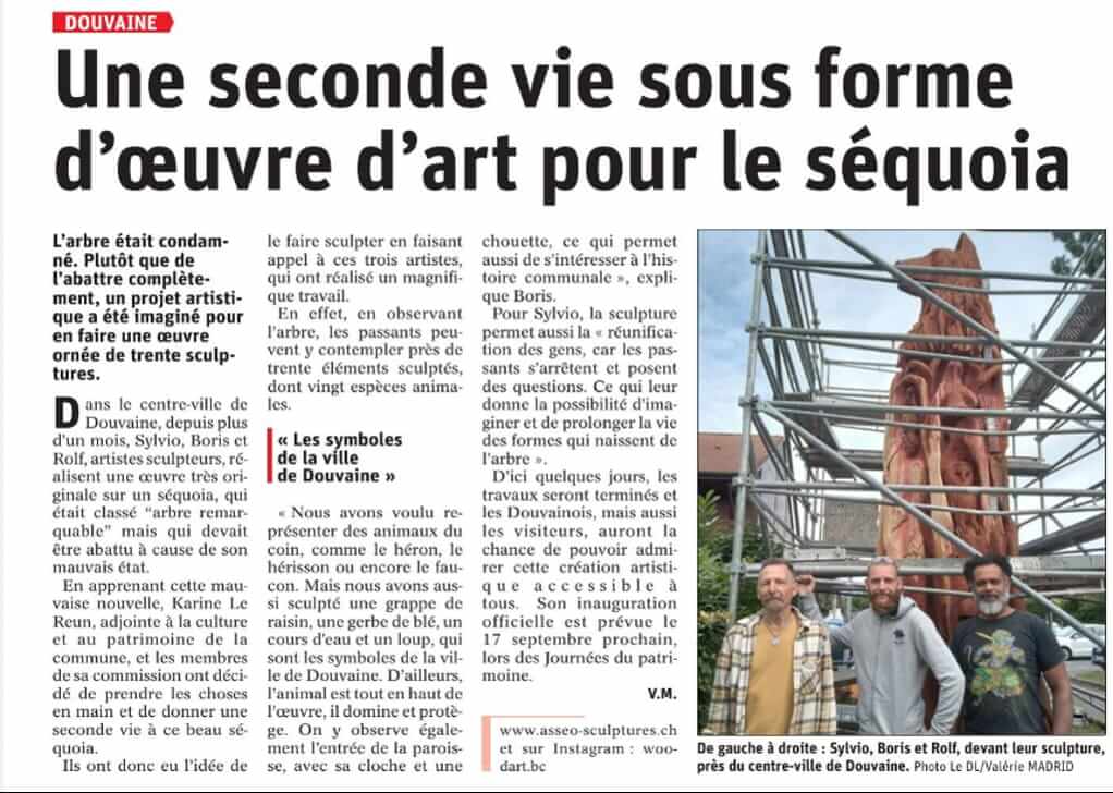 Coupure du Messager sur le séquoia sculpté à Douvaine, avec Sylvio Asseo, Boris et Rolf