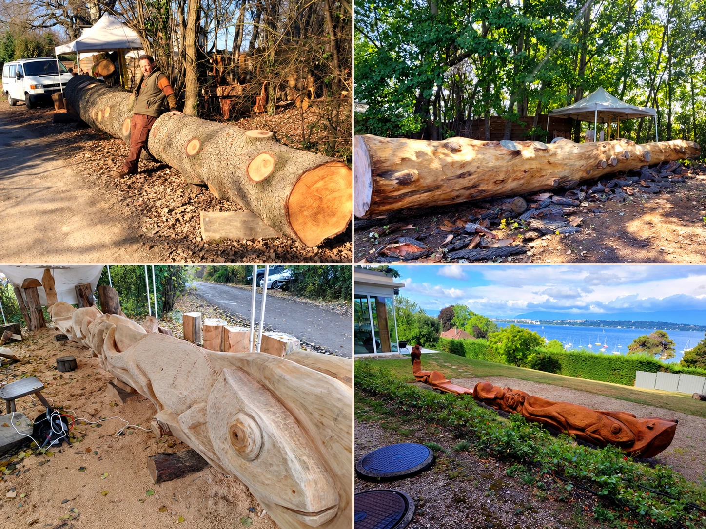 Quatre étapes de la sculpture : le tronc avec Sylvio, le bois écorcé, les animaux en cours de taille et l’œuvre achevée au bord du lac.
